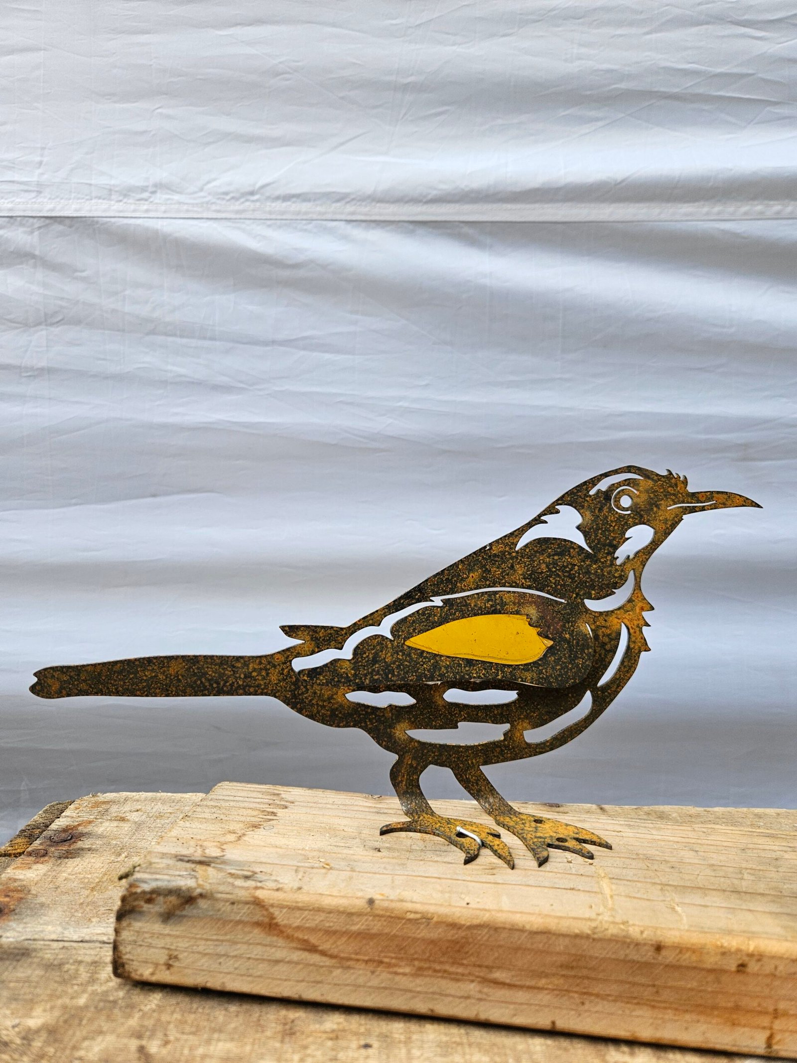 New Holland honeyeater (with stained glass) - Image 2