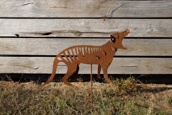 Tasmanian Tiger