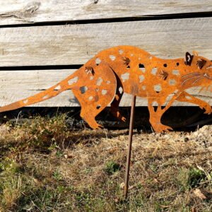 Spotted-tailed quoll