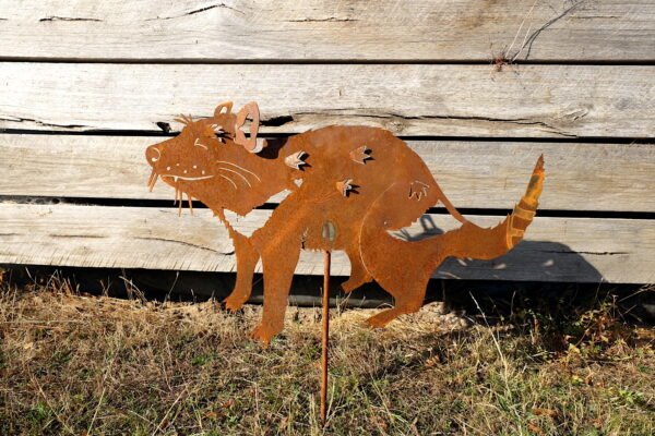 Tasmanian devil