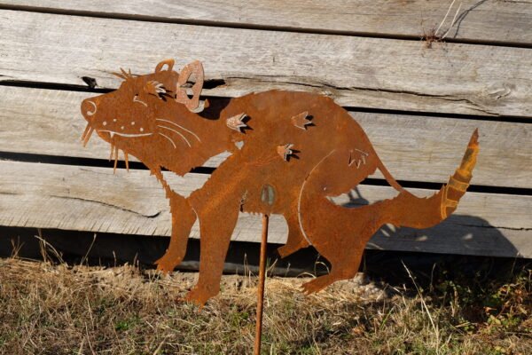 Tasmanian devil - Image 3