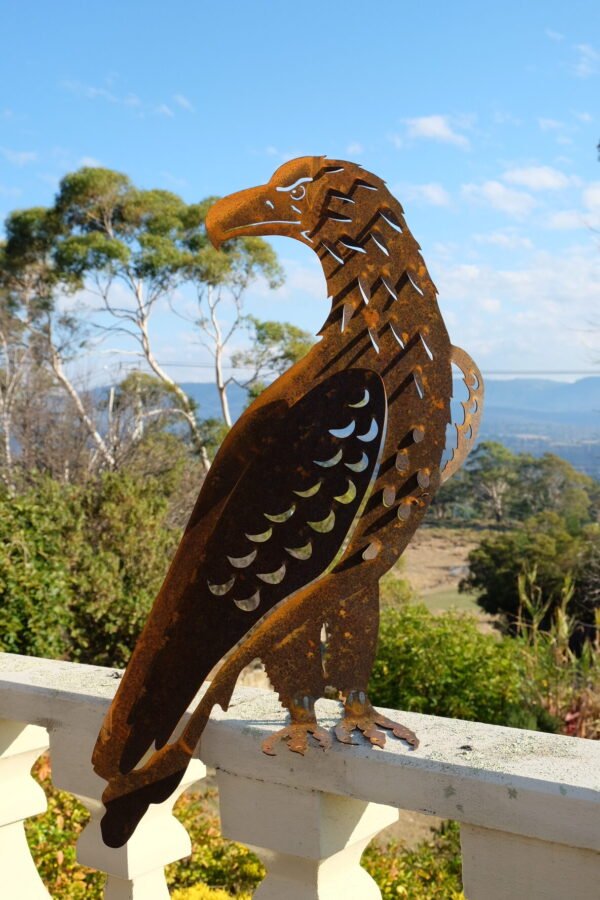 Wedge-tailed eagle - Image 2