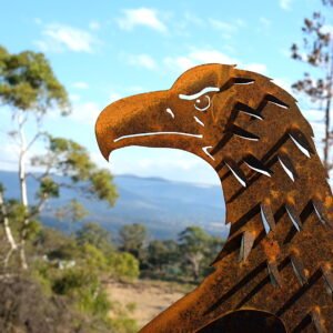 Wedge-tailed eagle