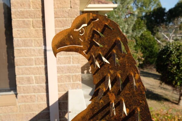 Wedge-tailed eagle - Image 3