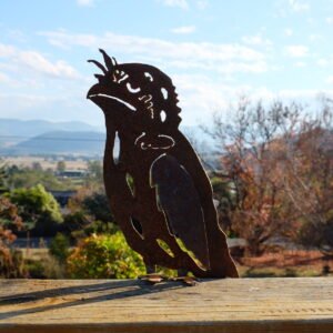 Tawny frogmouth