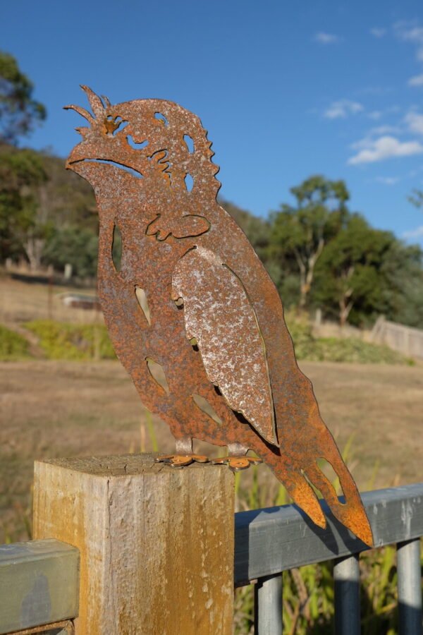 Tawny frogmouth - Image 3