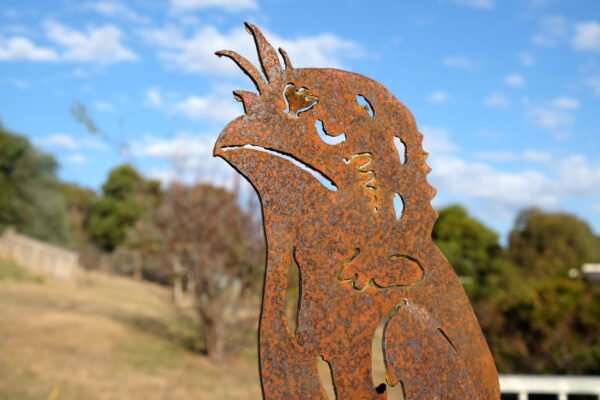 Tawny frogmouth - Image 2