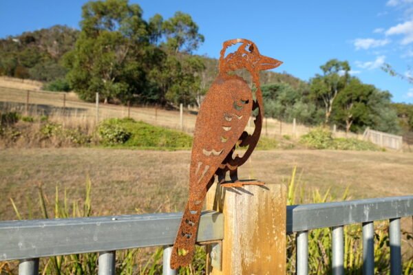 Kookaburra - Image 3