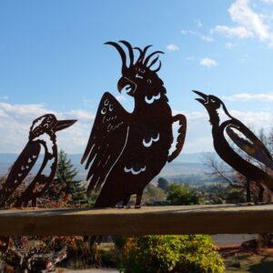 Birds