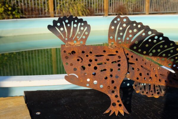Spotted handfish